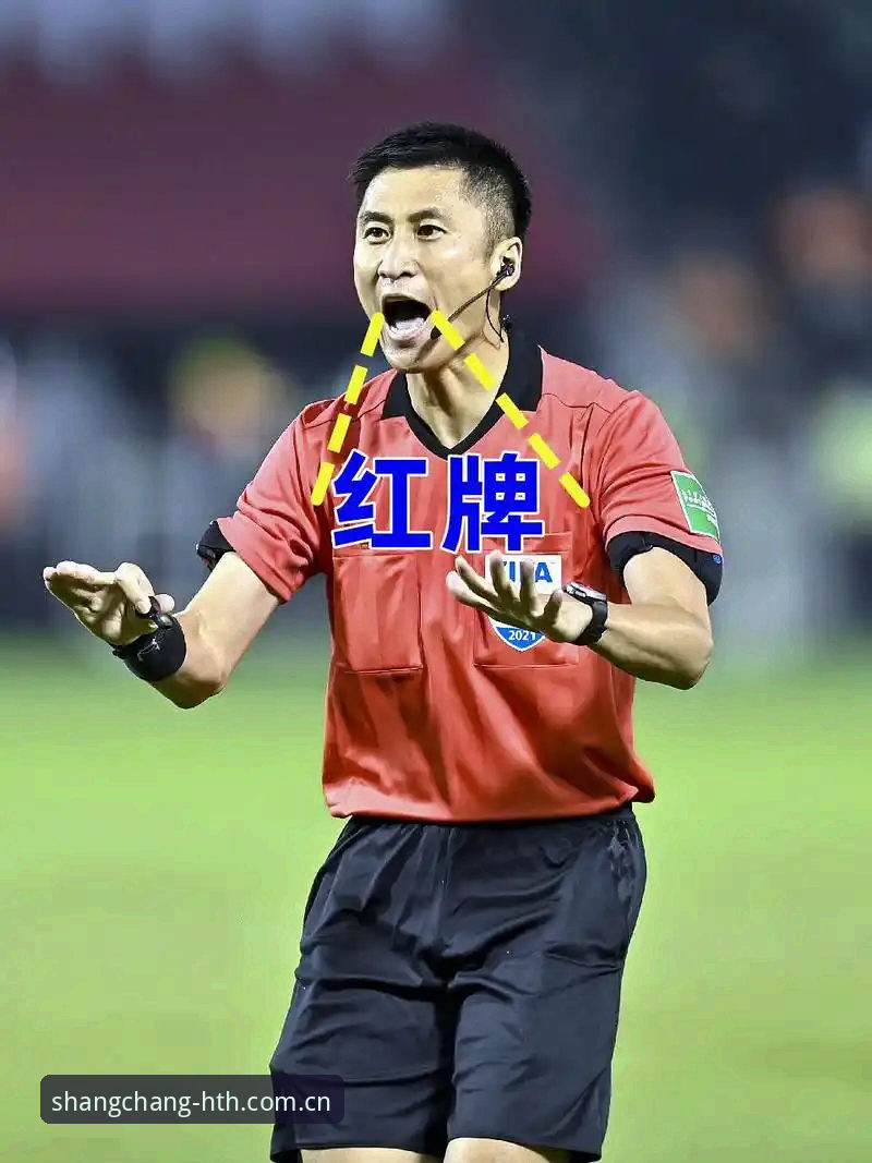 马宁执裁世界杯前的真实心声：避开裁判认知的三大常见误区